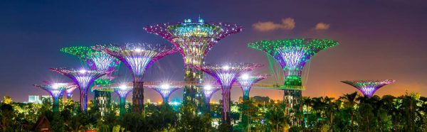 gardens by the bay banner