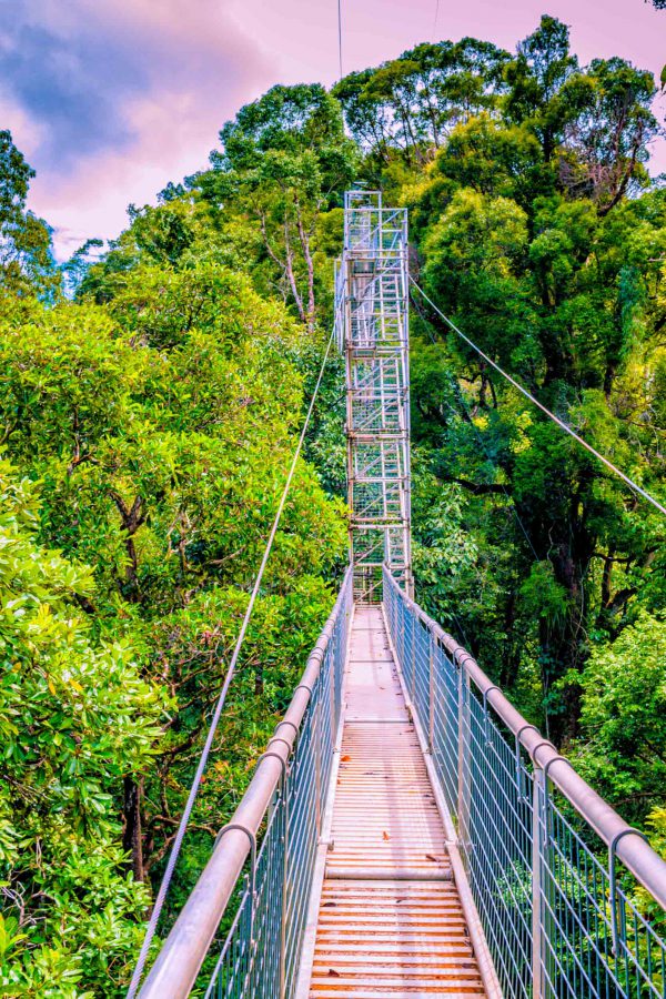 Ulu Temburong Canopy Walkway