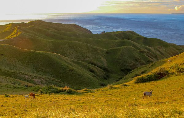 Vayang Rolling Hills